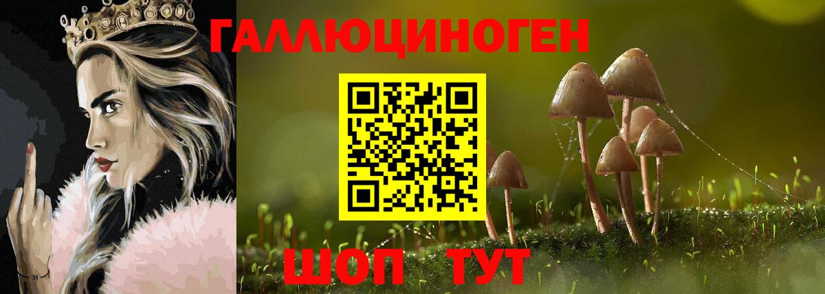 Ипатово  Галлюциногенные грибы GOLDEN TEACHER  Вход с VPN 