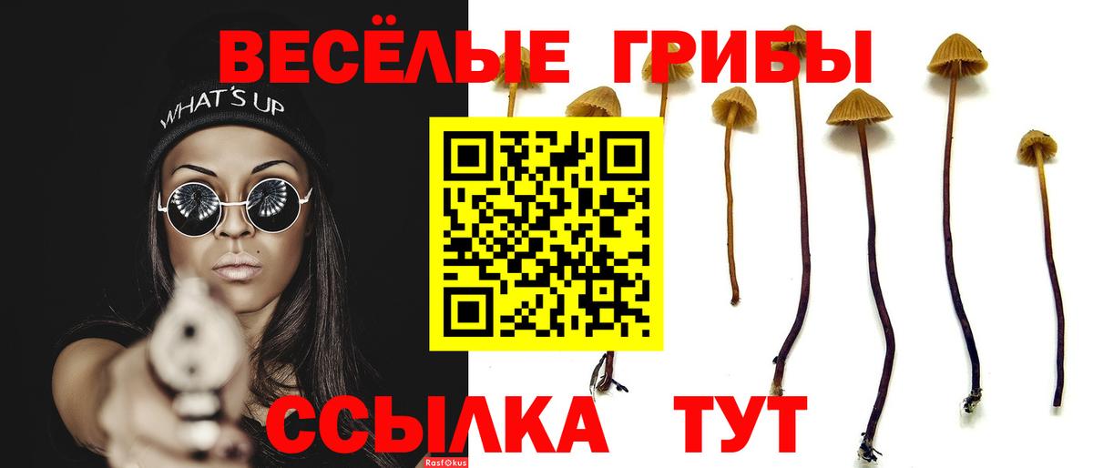 Галлюциногенные грибы мухоморы Ипатово